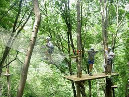 La forêt des aventuriers